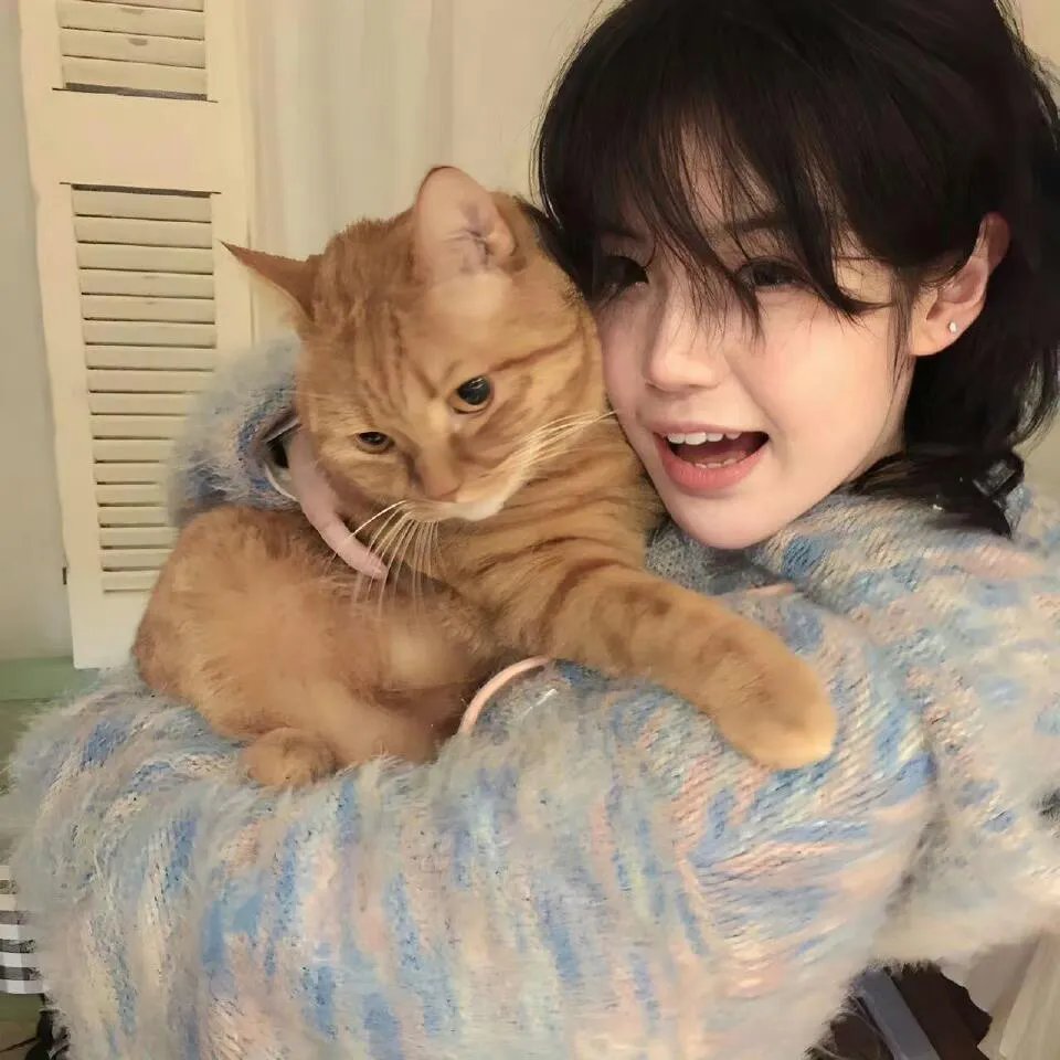 请爱我的女朋友